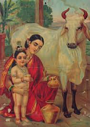 Почему в Индии корова - священна?